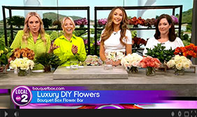 courtney sizzle reel